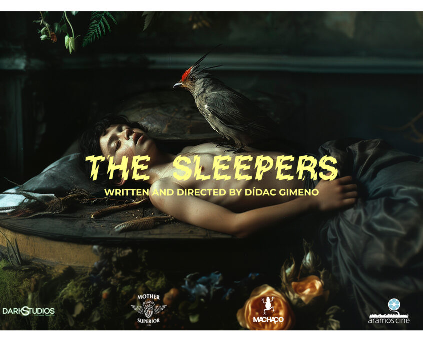 THE SLEEPERS POSTER HORIZ 25